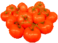 Tomaten.gif