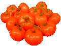 Datei:Tomaten.gif
