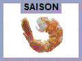 Datei:Riesengarnele.gif