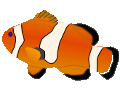 Datei:Zierfische.gif
