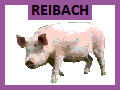 Datei:Schwein.gif