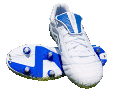 Datei:Sportschuhe.gif