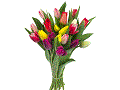 Datei:Tulpenstrauss.gif