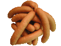 Datei:Bockwurst.gif