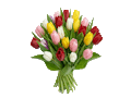 Datei:Tulpenstrauss-neu.gif