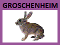 Datei:Hasen.gif