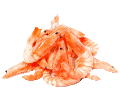 Datei:Schalentiere.gif