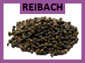 Datei:Pfeffer.gif