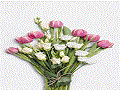 Datei:Blumenreste.gif