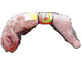 Datei:Kaninchen.gif