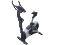 Datei:Heimtrainer.gif