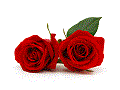 Datei:Rosen.gif