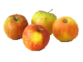 Datei:Äpfel.gif