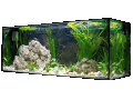 Datei:Aquarium.gif