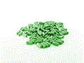 Datei:Tabletten.gif